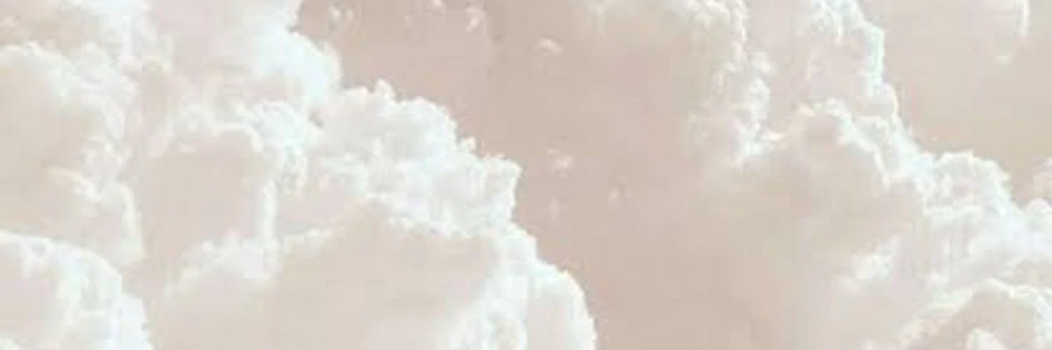. profile banner