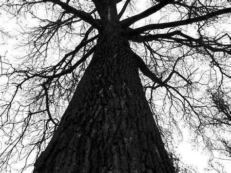 Strong2TheEnd profile banner