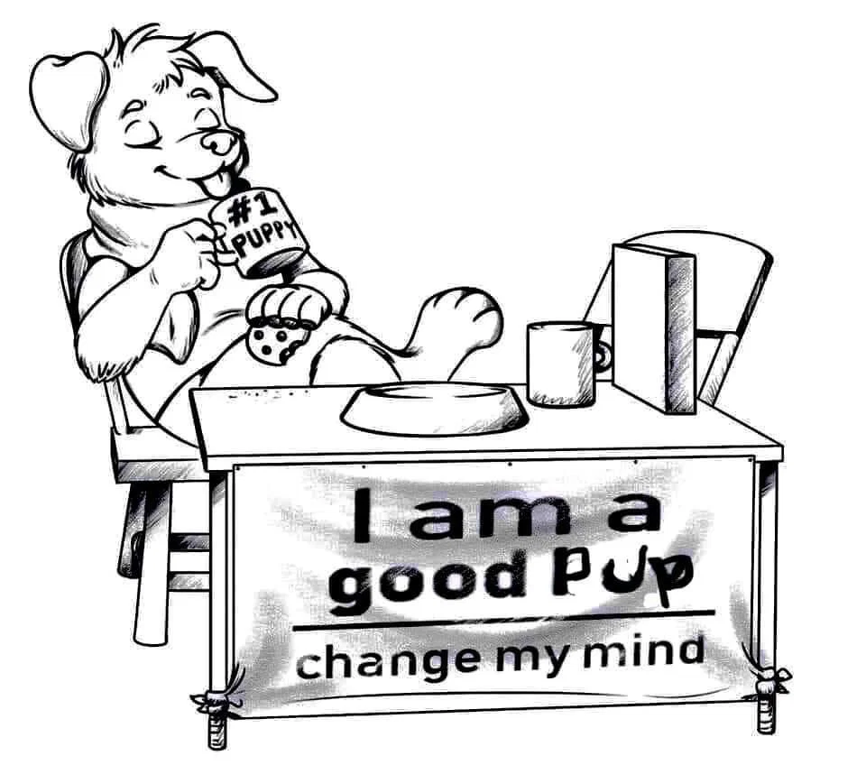 aznduckiepup profile banner
