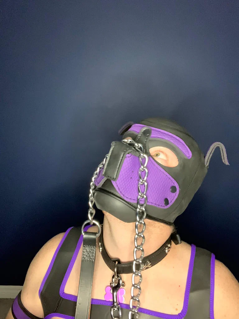 Maximus_pup