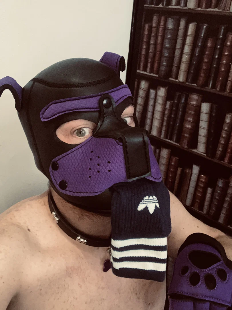 Maximus_pup profile banner
