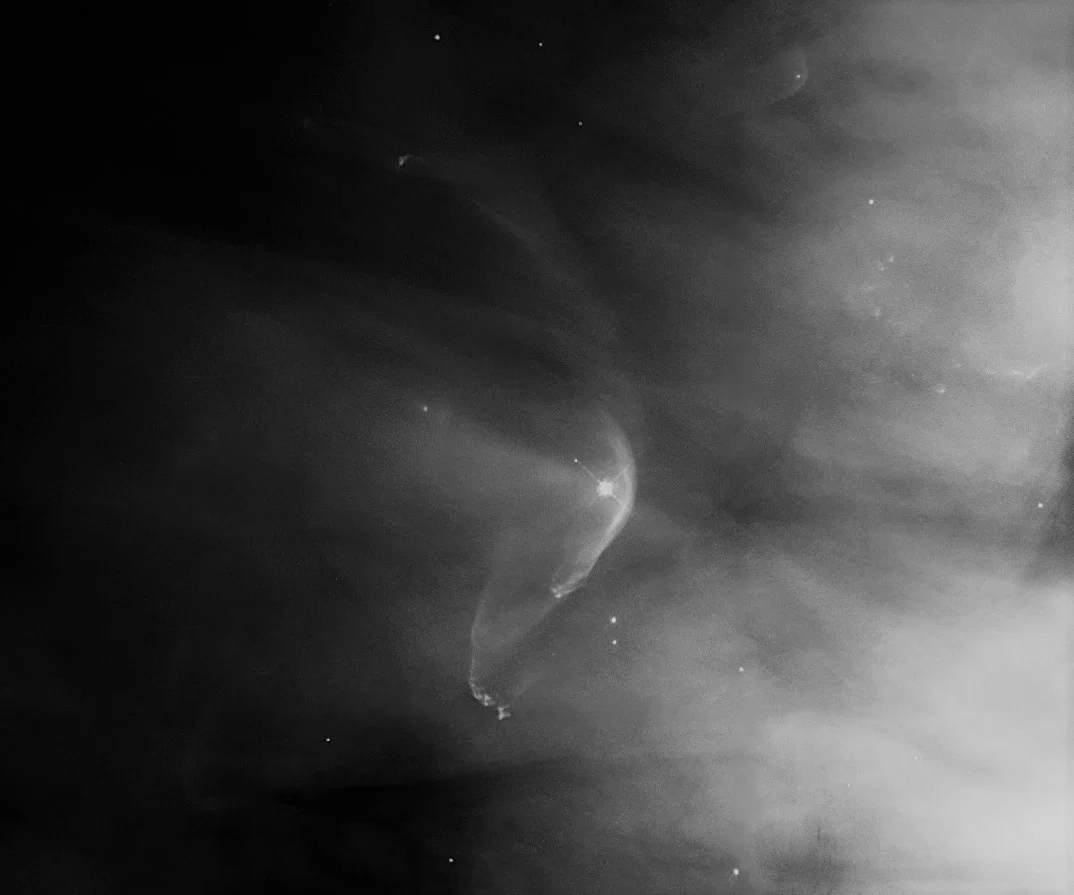 Nadia profile banner