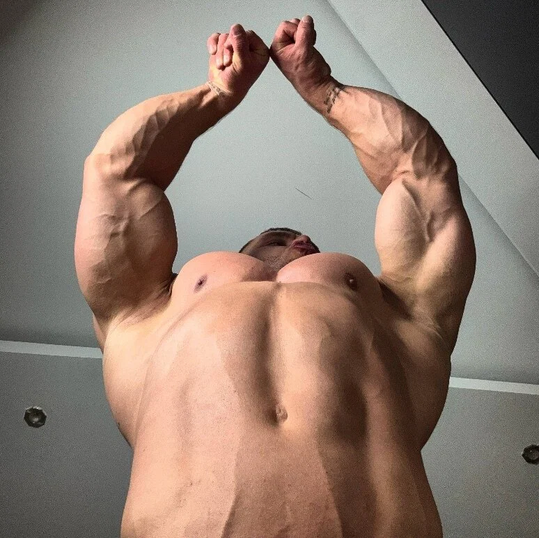 King_Romeo's avatar