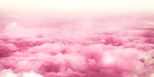 π WonderTease π profile banner