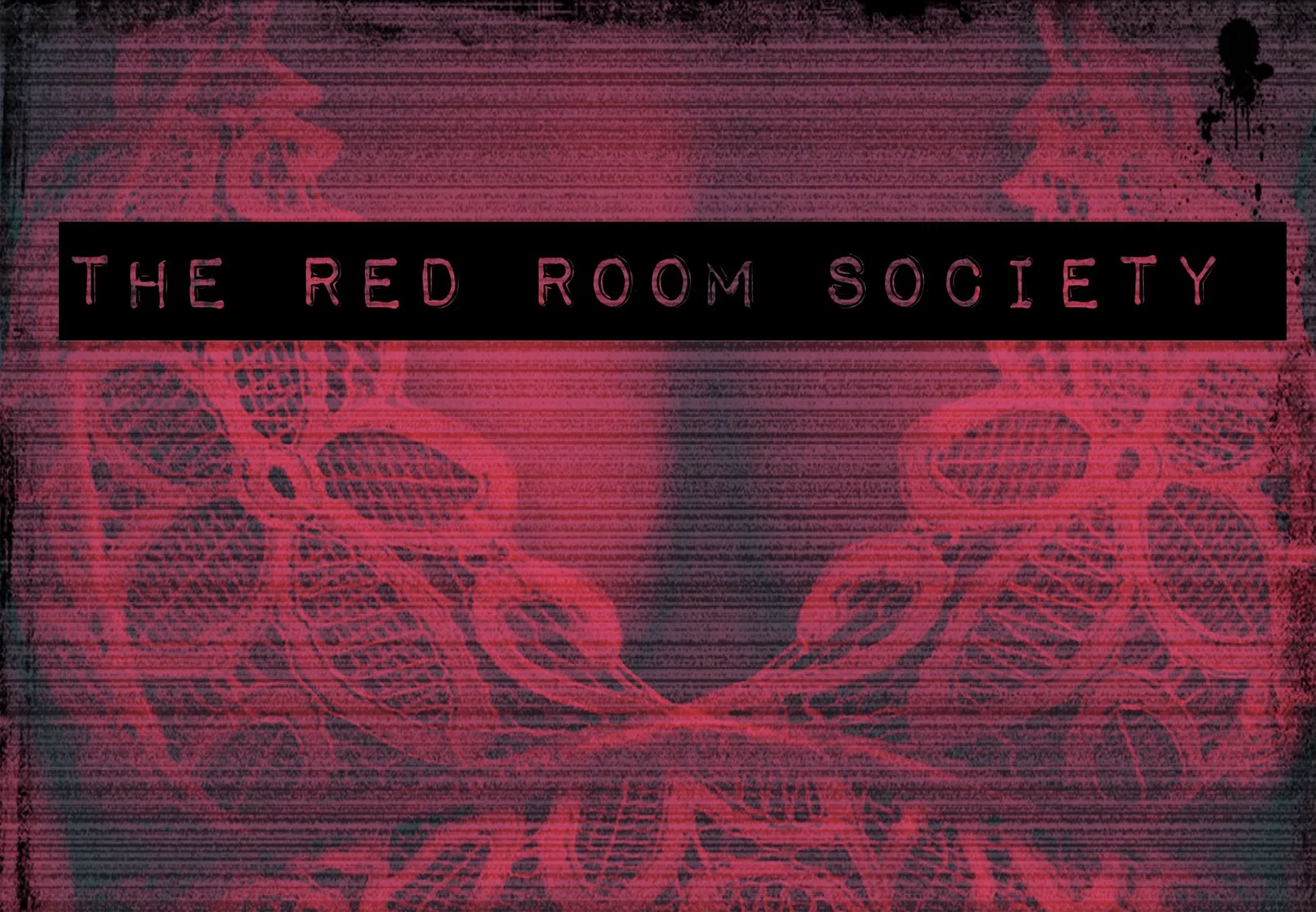 Scarlett Rae profile banner