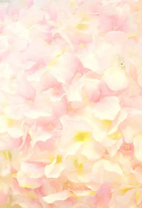 niecey profile banner