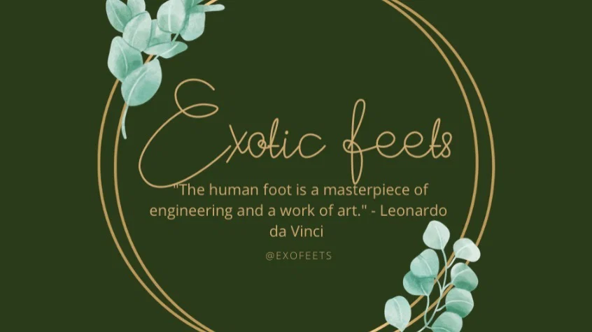 Exotic Feets profile banner