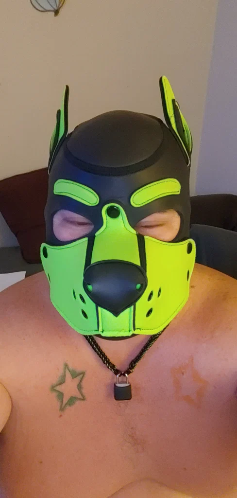 Sean's avatar