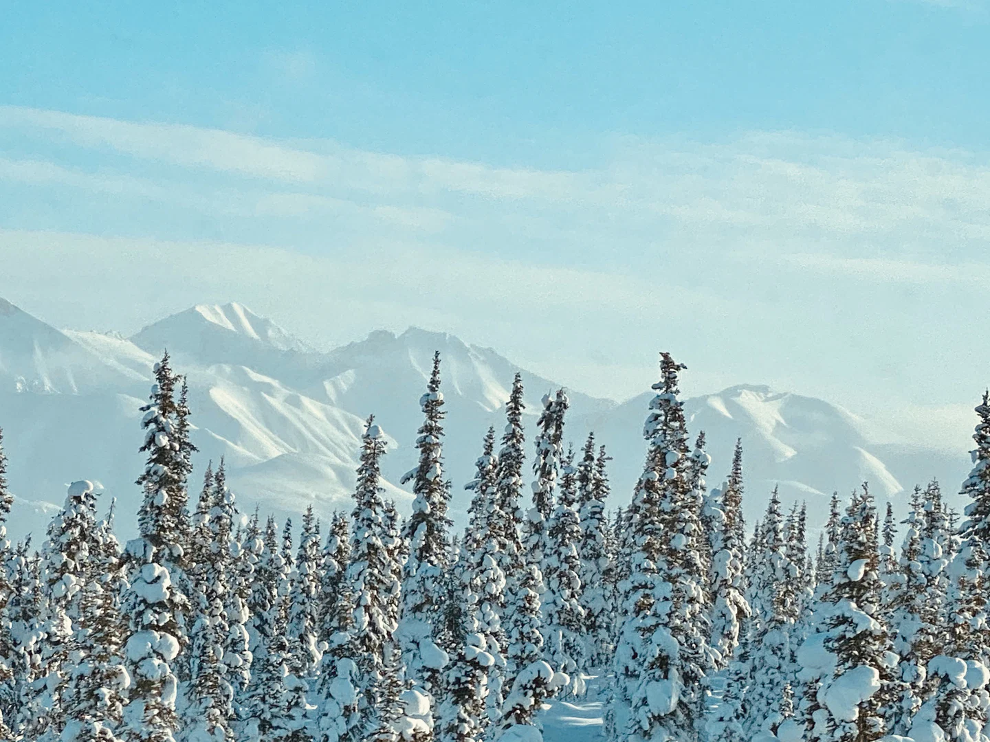 FIRE&ICE_907 profile banner