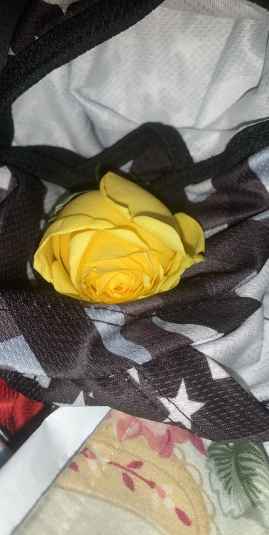 Bratty baby profile banner