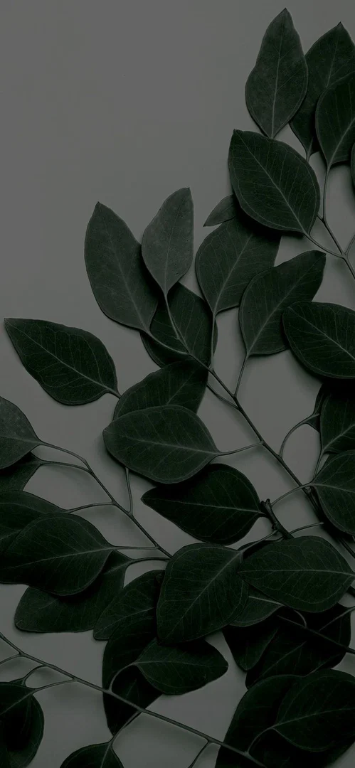 m🖤 profile banner
