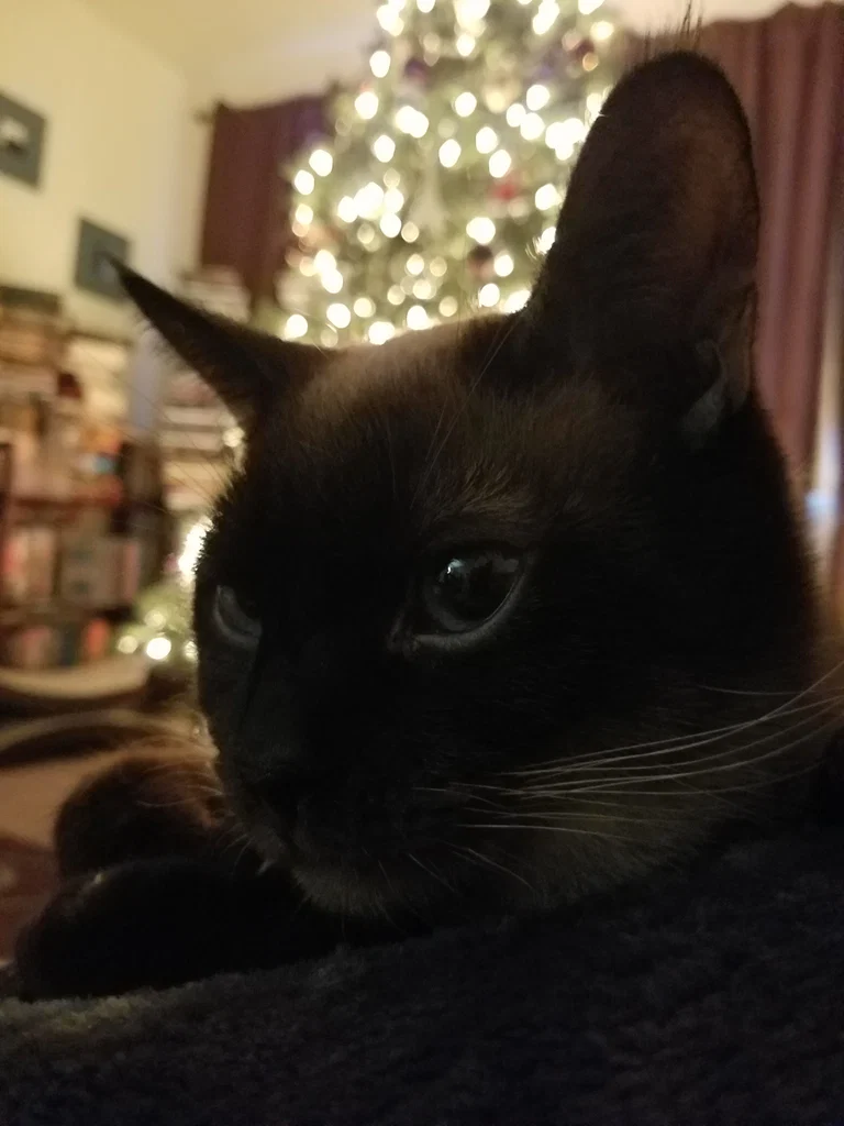 Sir Frederick's avatar
