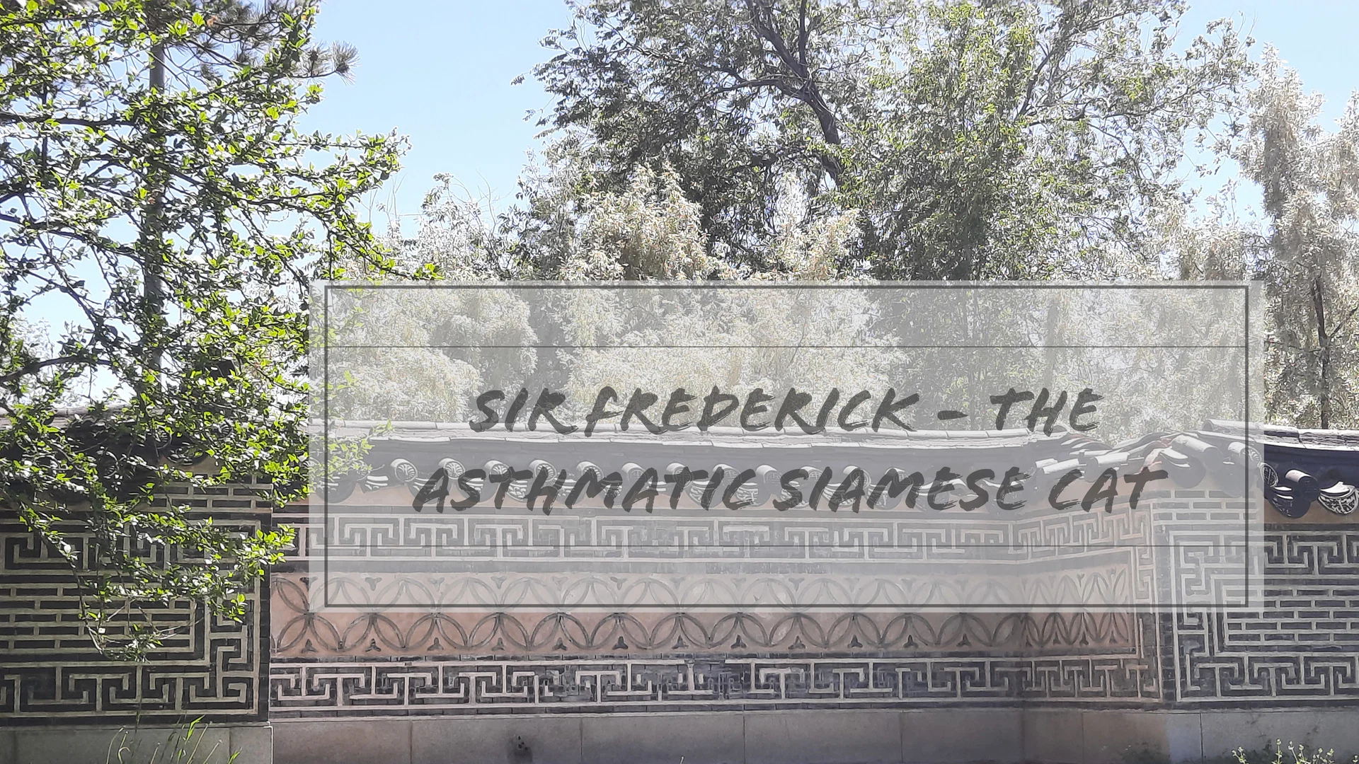 Sir Frederick profile banner