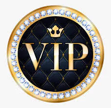 StarryNightsVIP's avatar