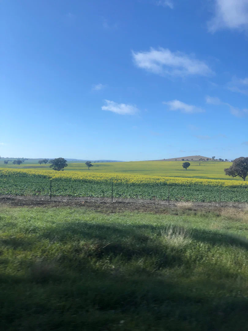 Aussie farmer profile banner