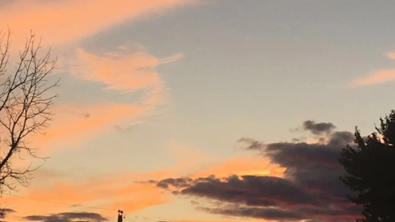 Alli profile banner