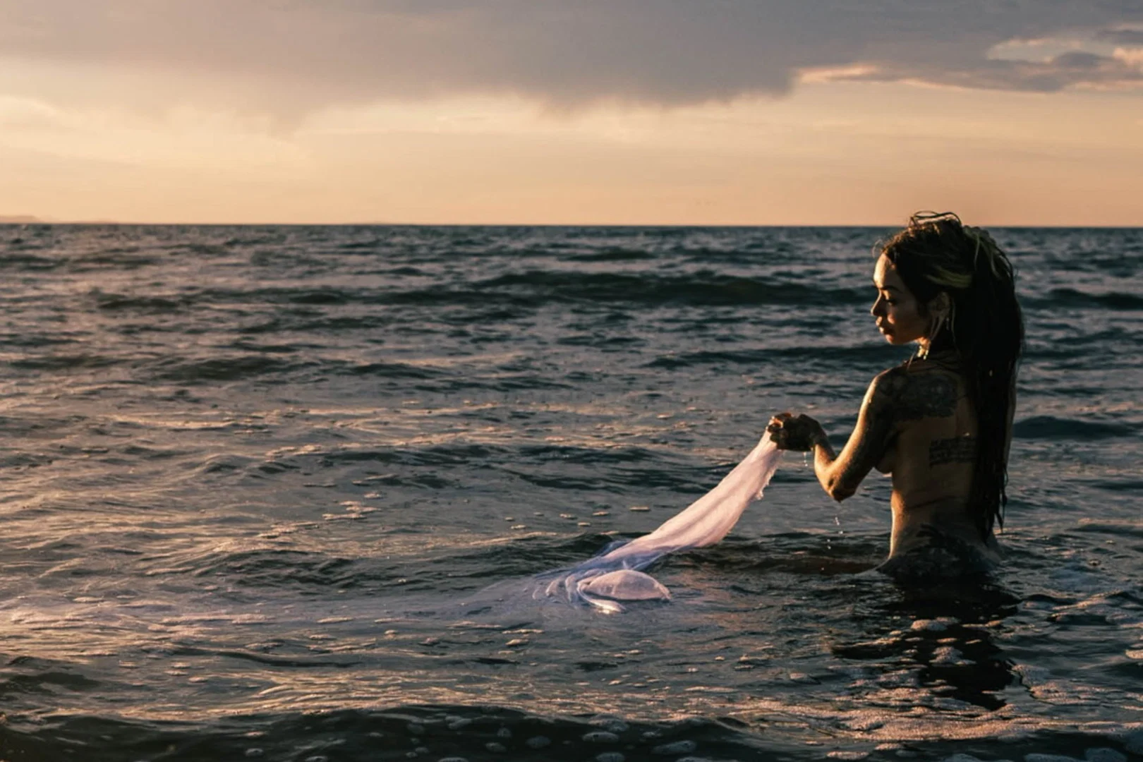 Catarina Taylor profile banner