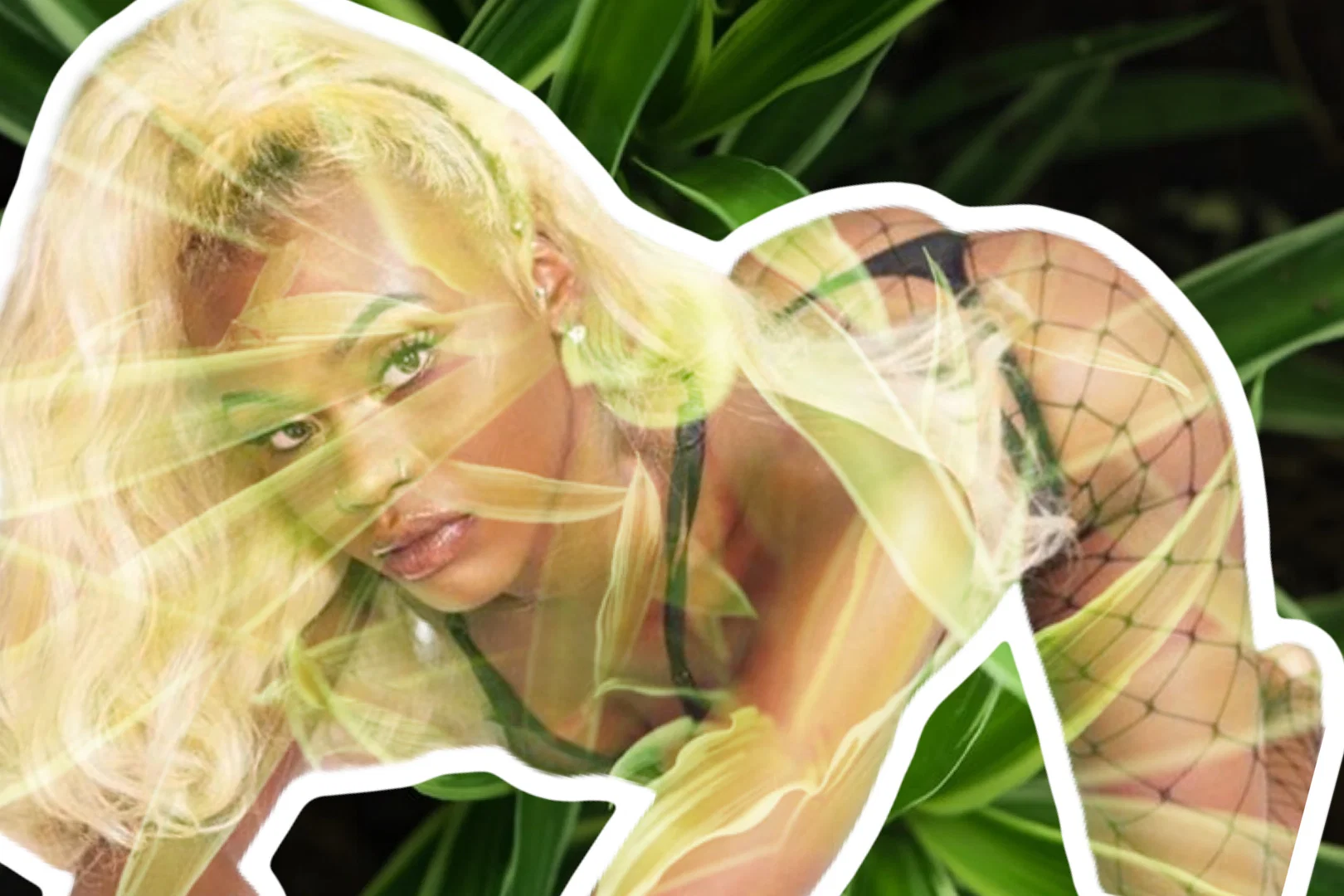 Pure Vixen profile banner