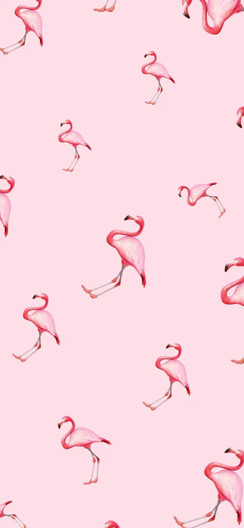 T profile banner