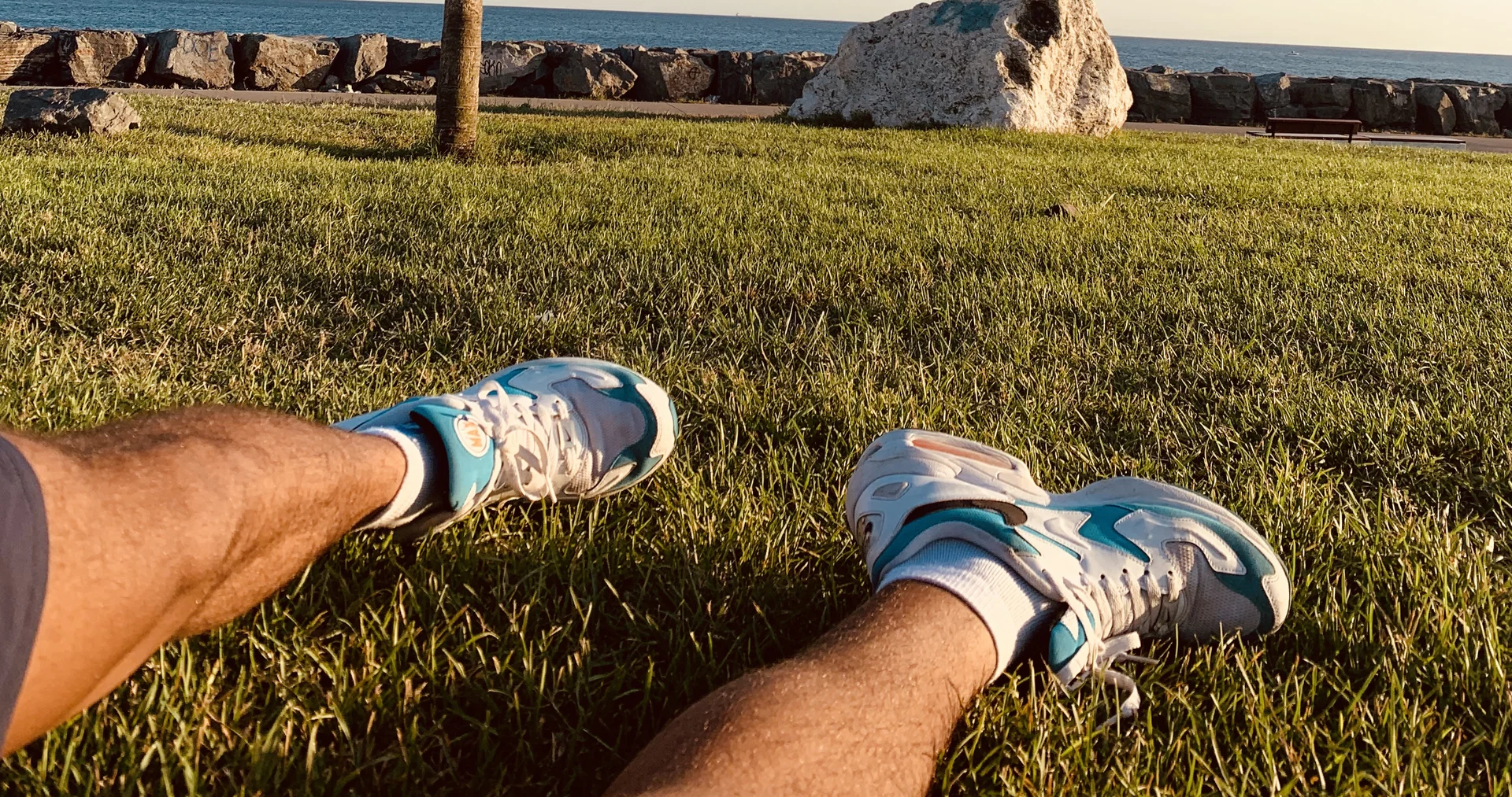 Bearfoot profile banner
