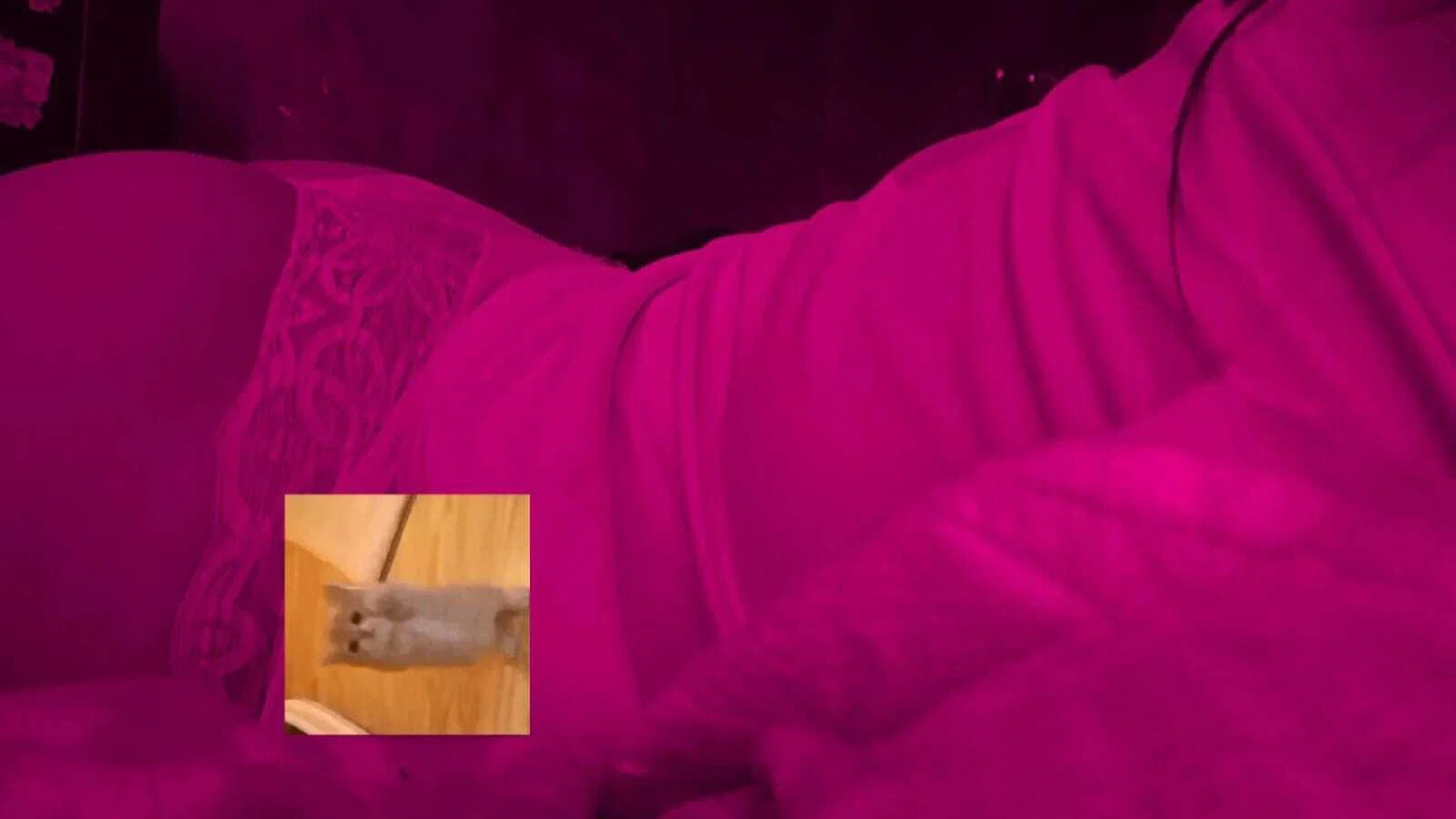 Anastasia Luxury profile banner