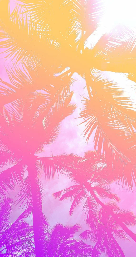 californiachick profile banner
