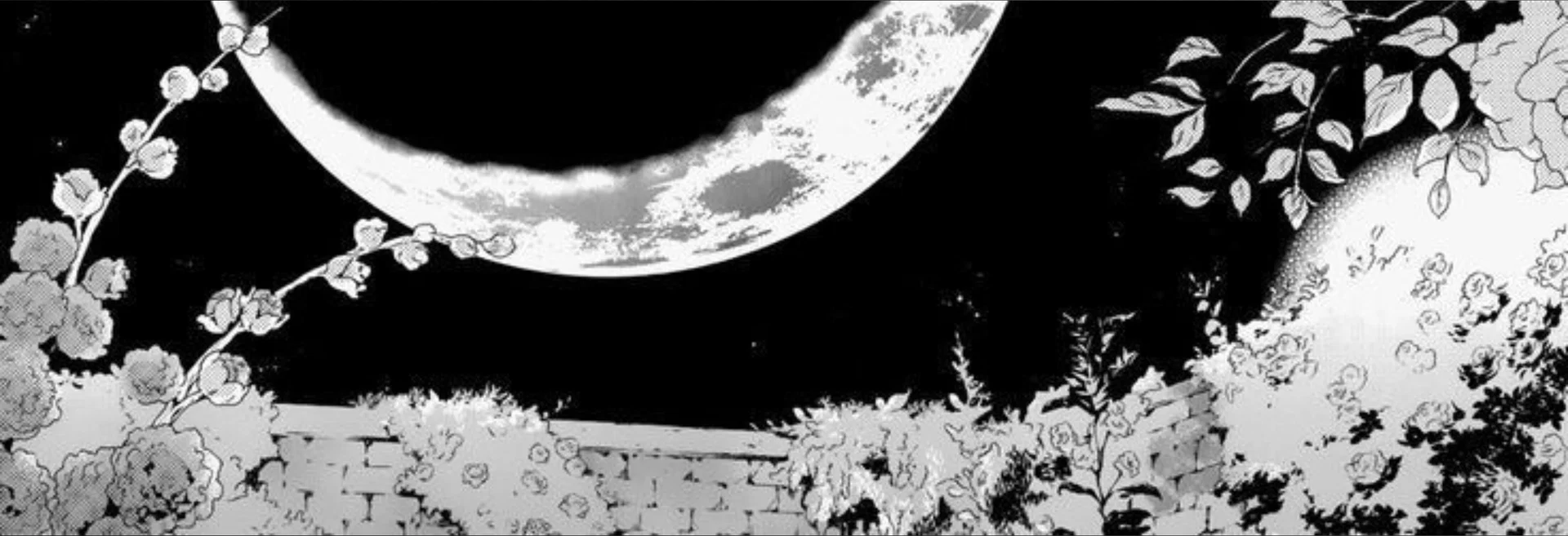 :p profile banner