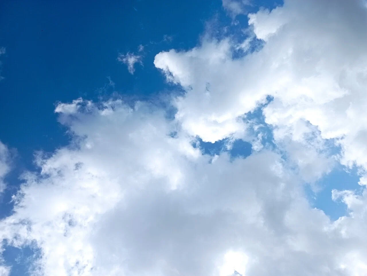 Leah Núñez profile banner