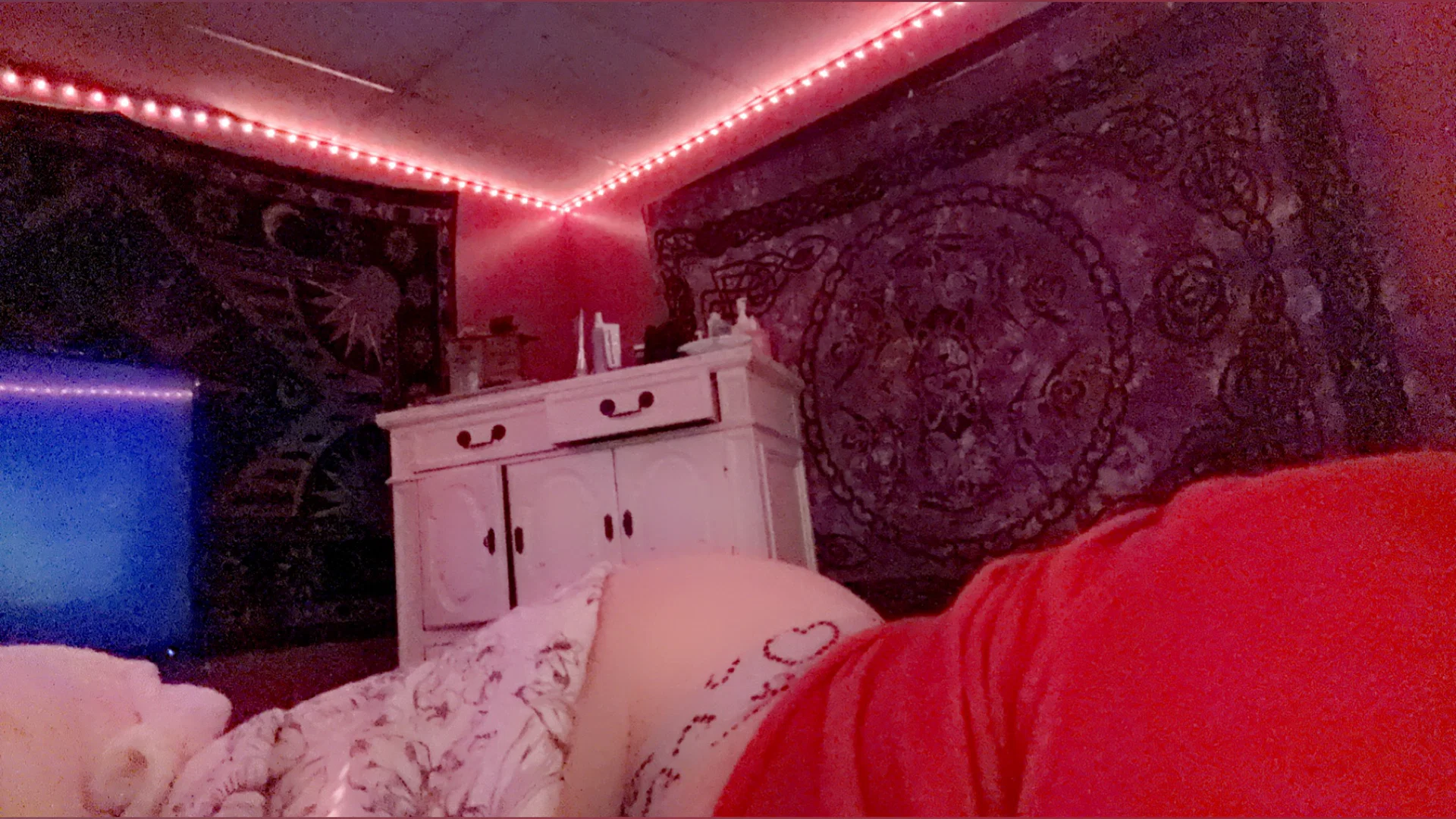 Nofacenocase🤪😈 profile banner