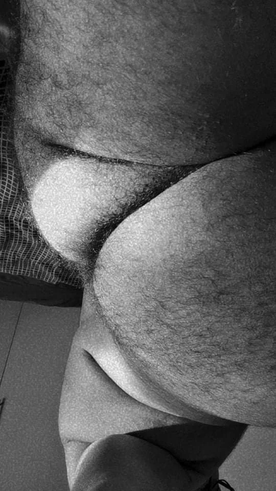 Bear05 profile banner