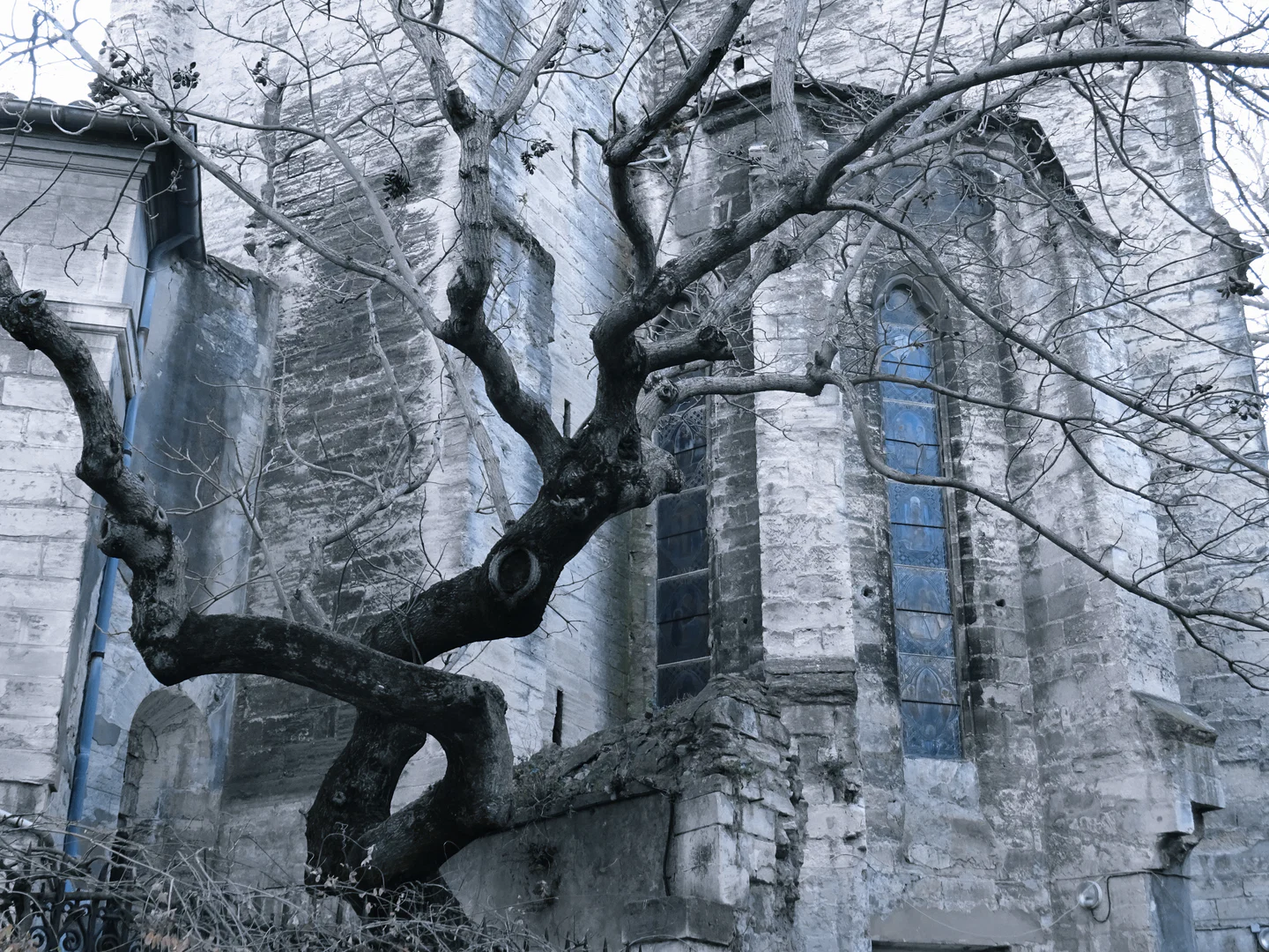 Carl Lepeltier profile banner