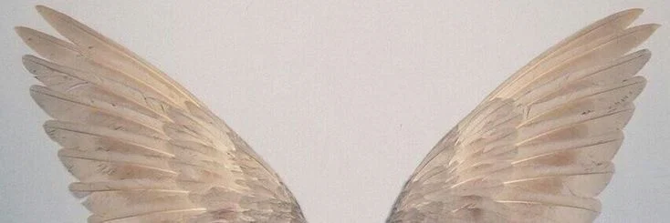 Boticelli Becky profile banner