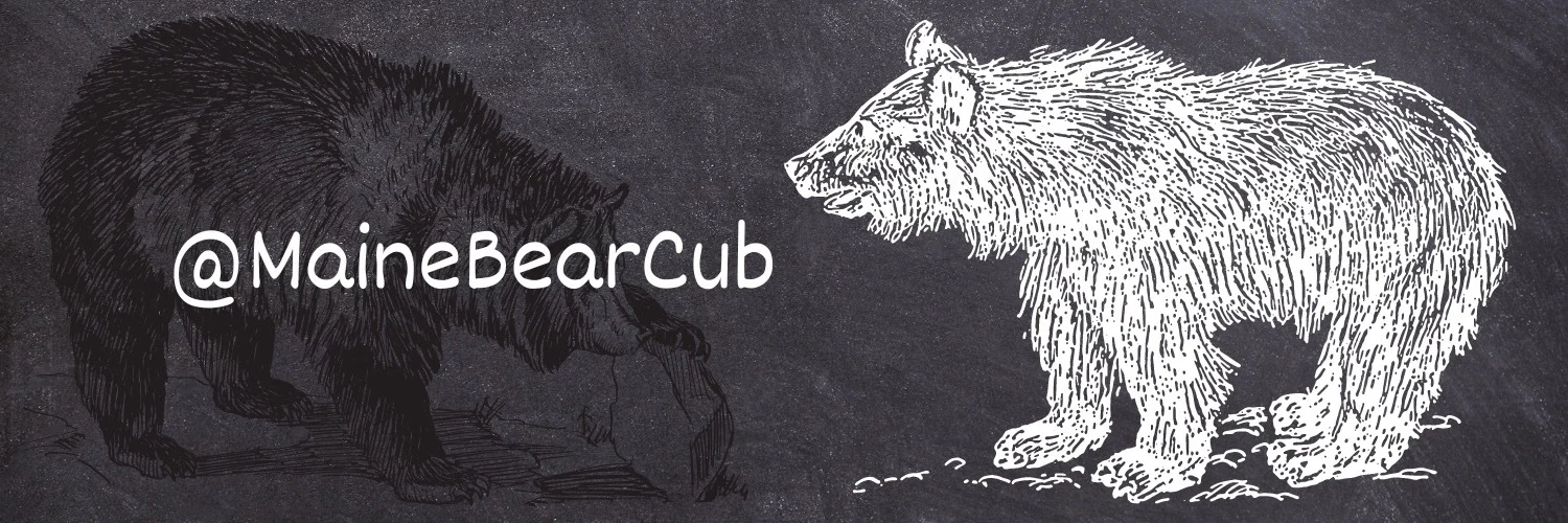 Maine Bear Cub profile banner