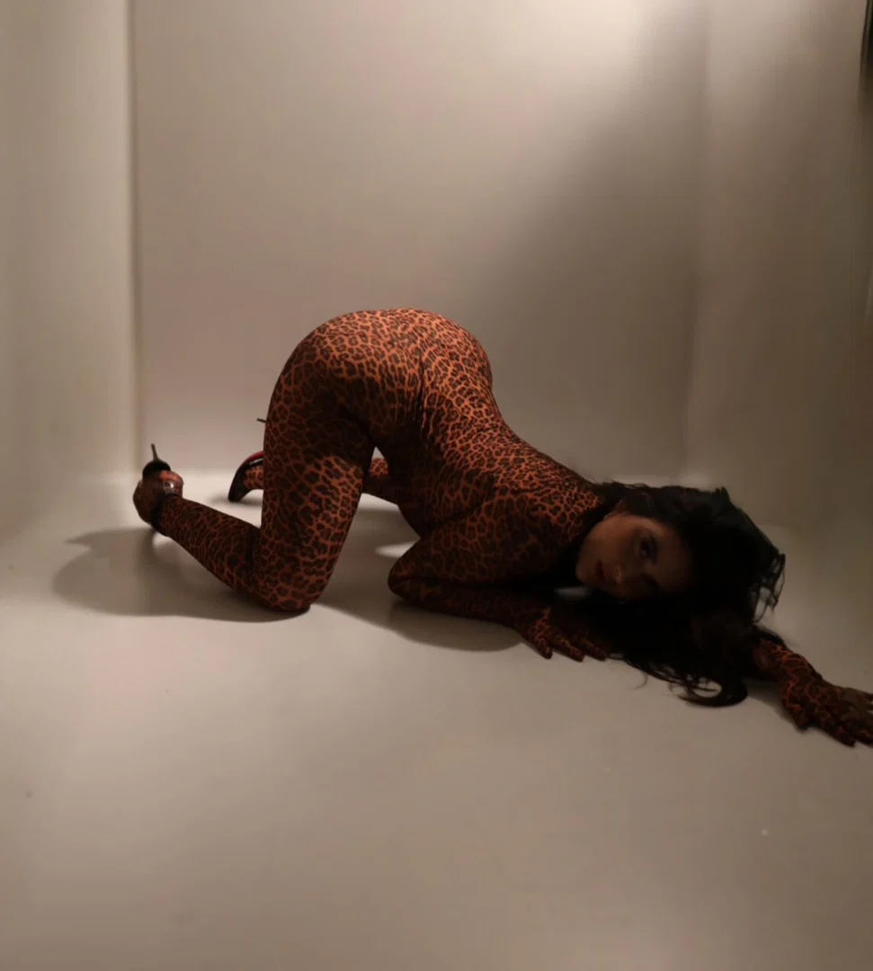 Scarlett Shadows profile banner