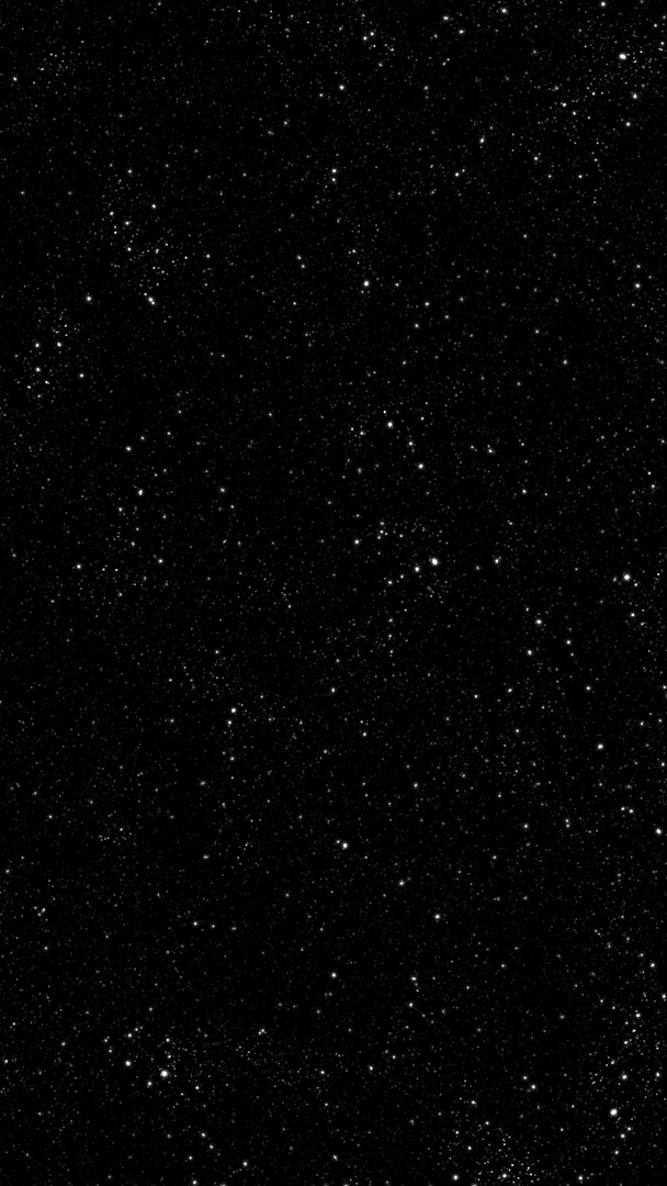 Ecclecticfennec profile banner