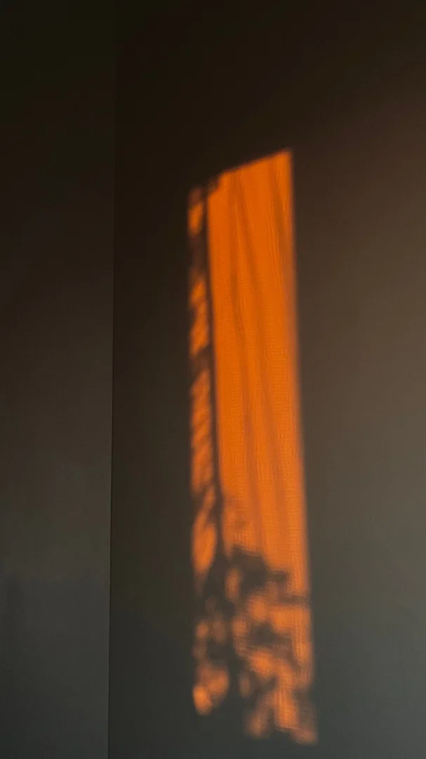 HoneyBee profile banner