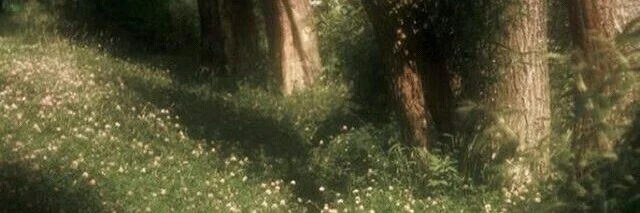 Mafer profile banner