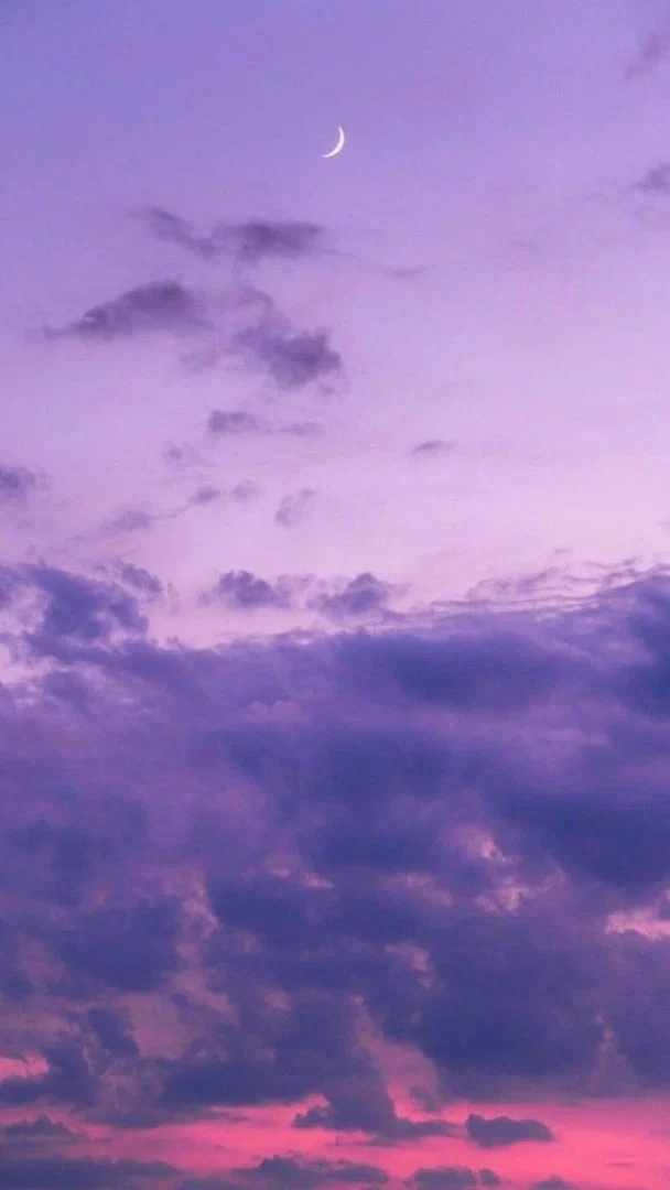 lavender profile banner