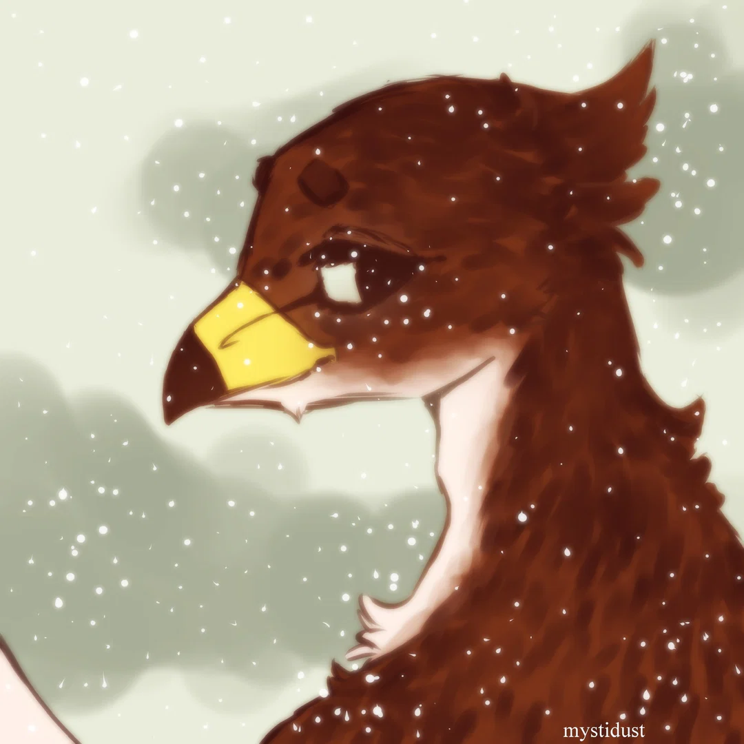 OnlyHawks-Zae profile banner