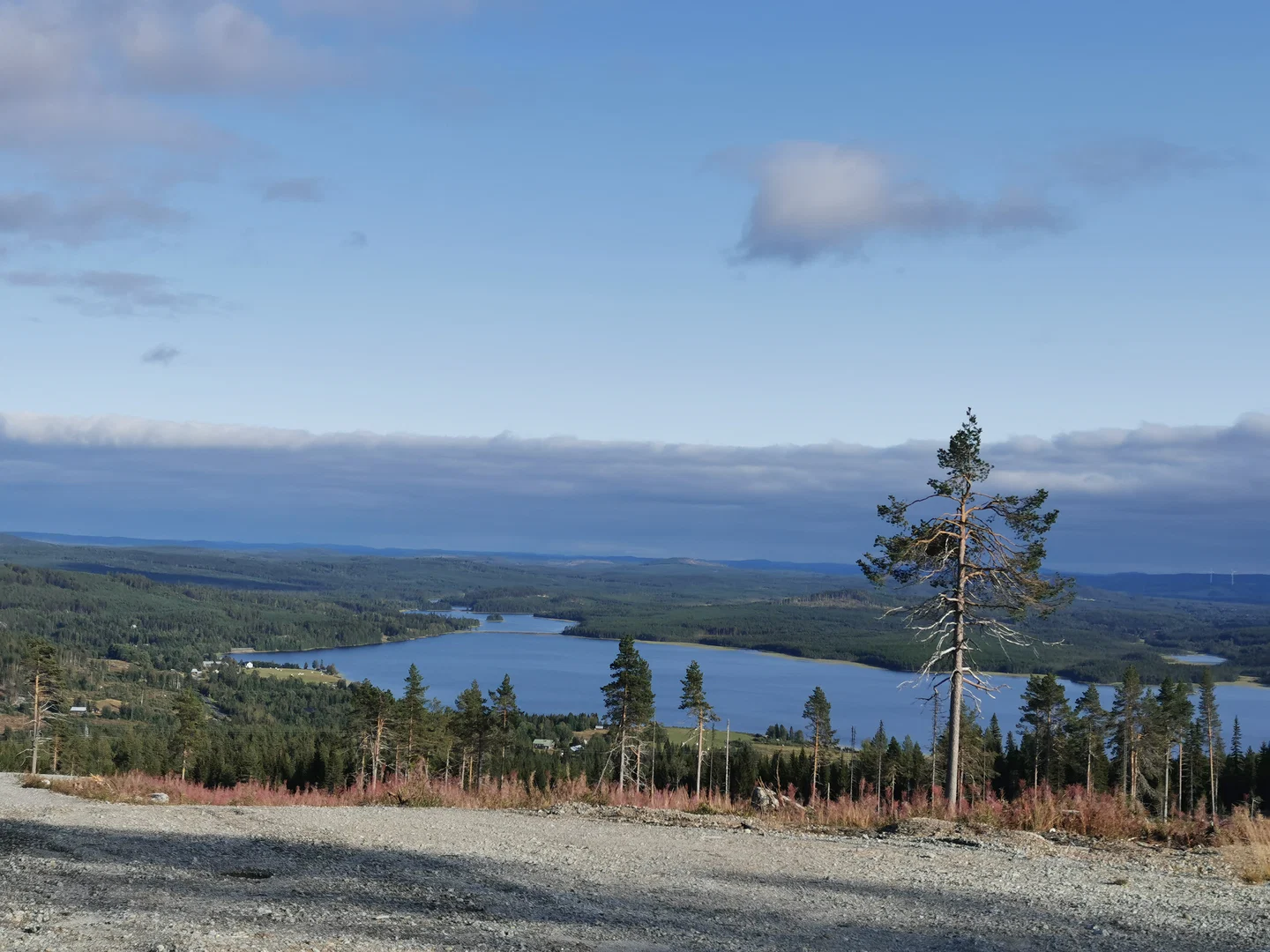 Michaela Johansson profile banner