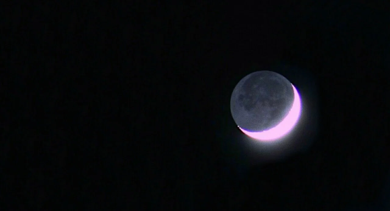 Cherry profile banner