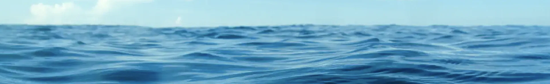 Queen Caroline profile banner