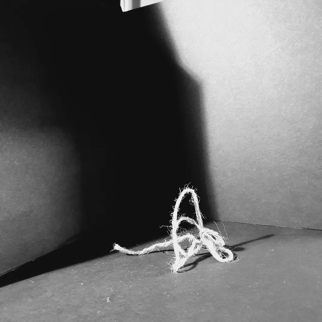 reallifesht profile banner