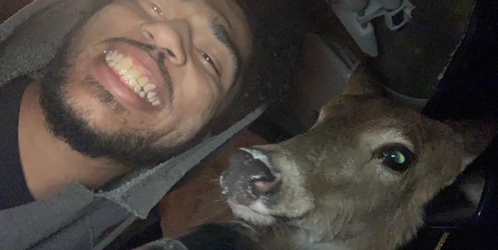 Your new stepdad's avatar