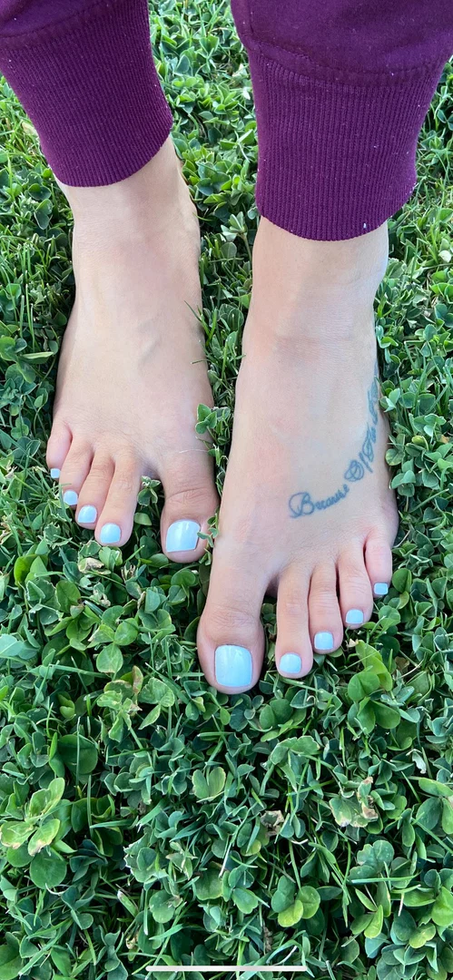 Lou profile banner