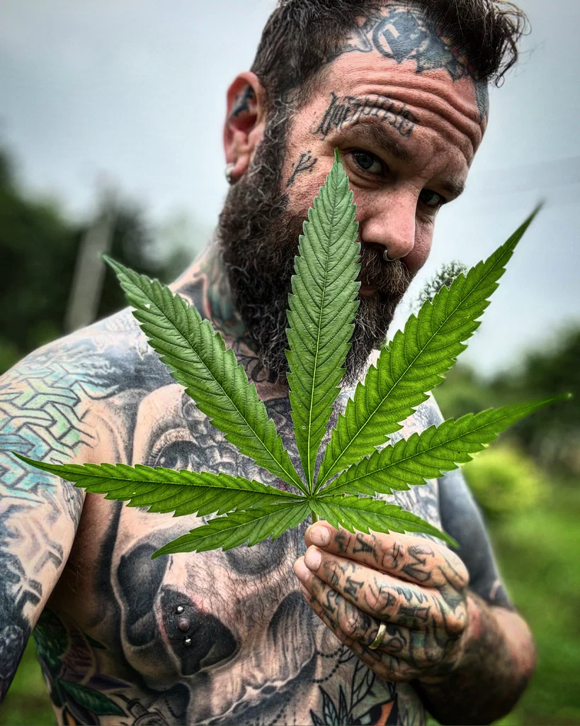 Tattooedandstoned's avatar