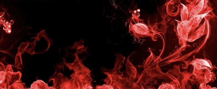 Paige profile banner