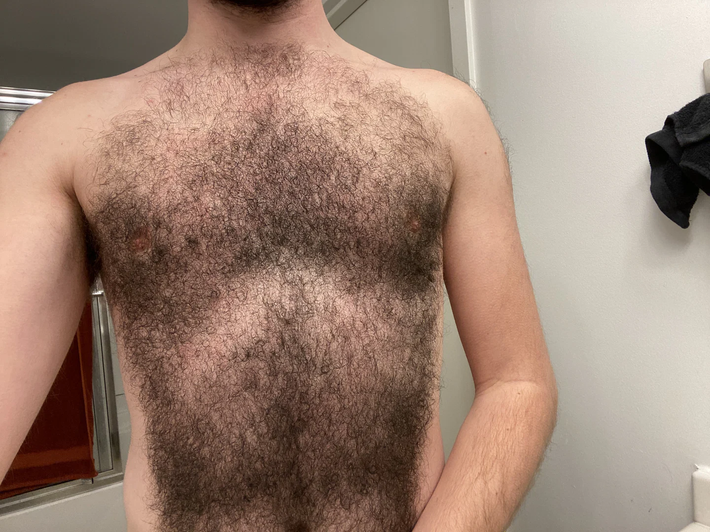 Hairy boi Chicago profile banner