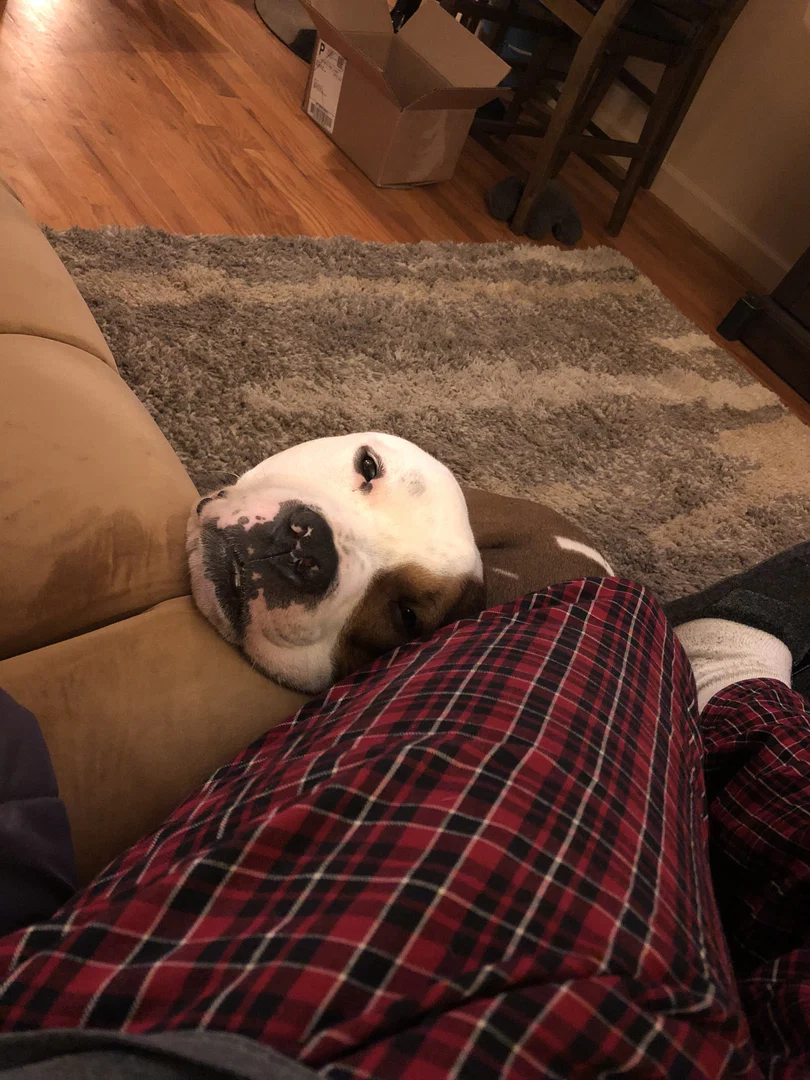 Bubbz profile banner