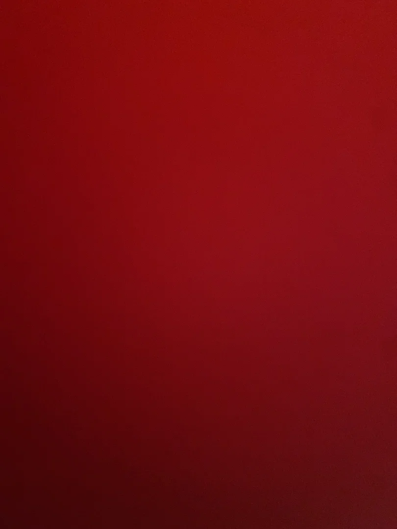 Laura Castellanos profile banner